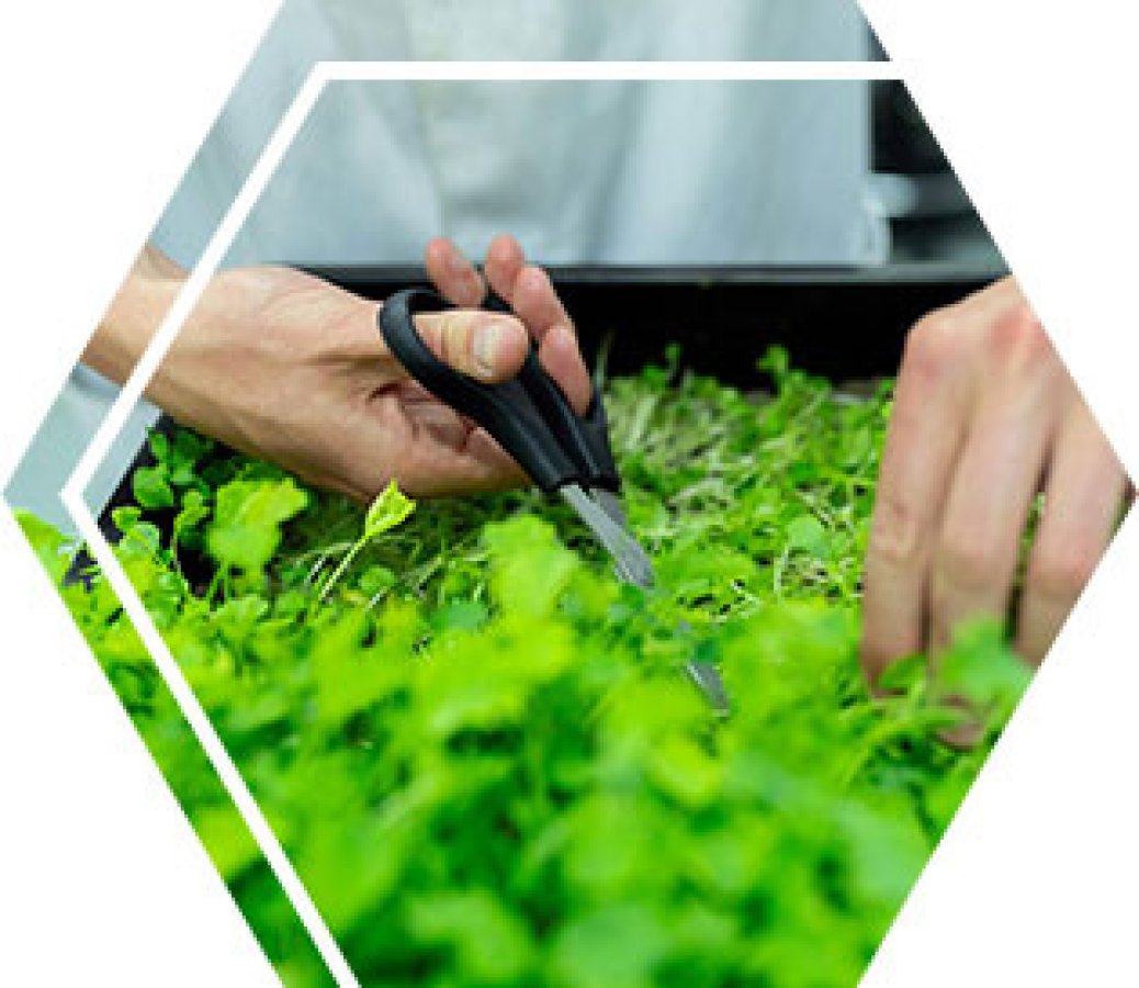 Facse blog inset science engineering