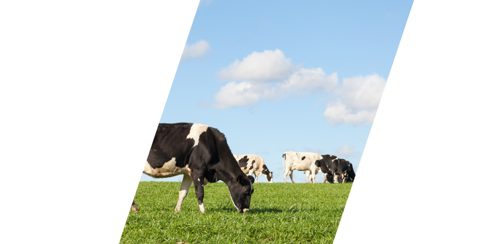 Do What Is Right Starry Sky Facebook Cover 1