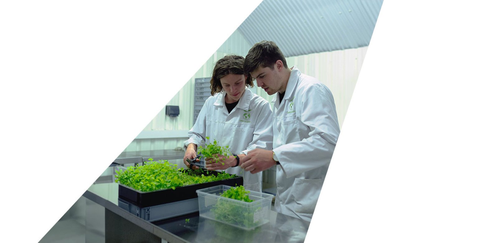 Facse blog header science classroom