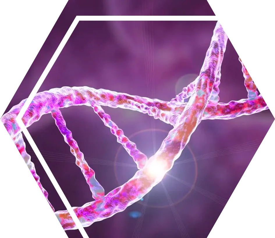 Dna visualization