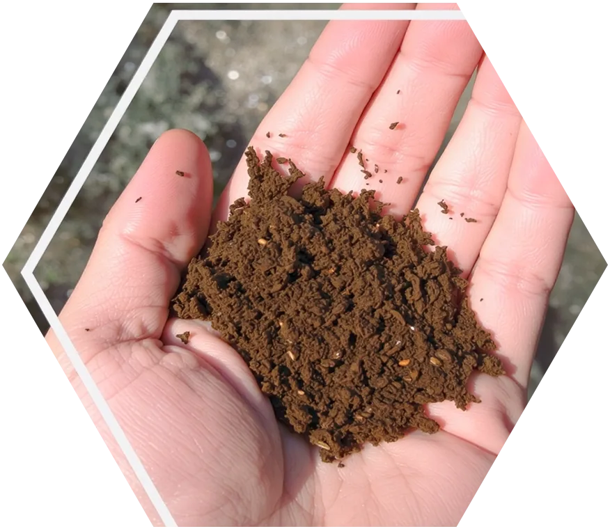 Img hand w soil