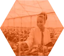 Greenhouse scientist